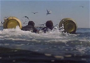Brody and Hooper paddling home