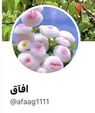  fake 