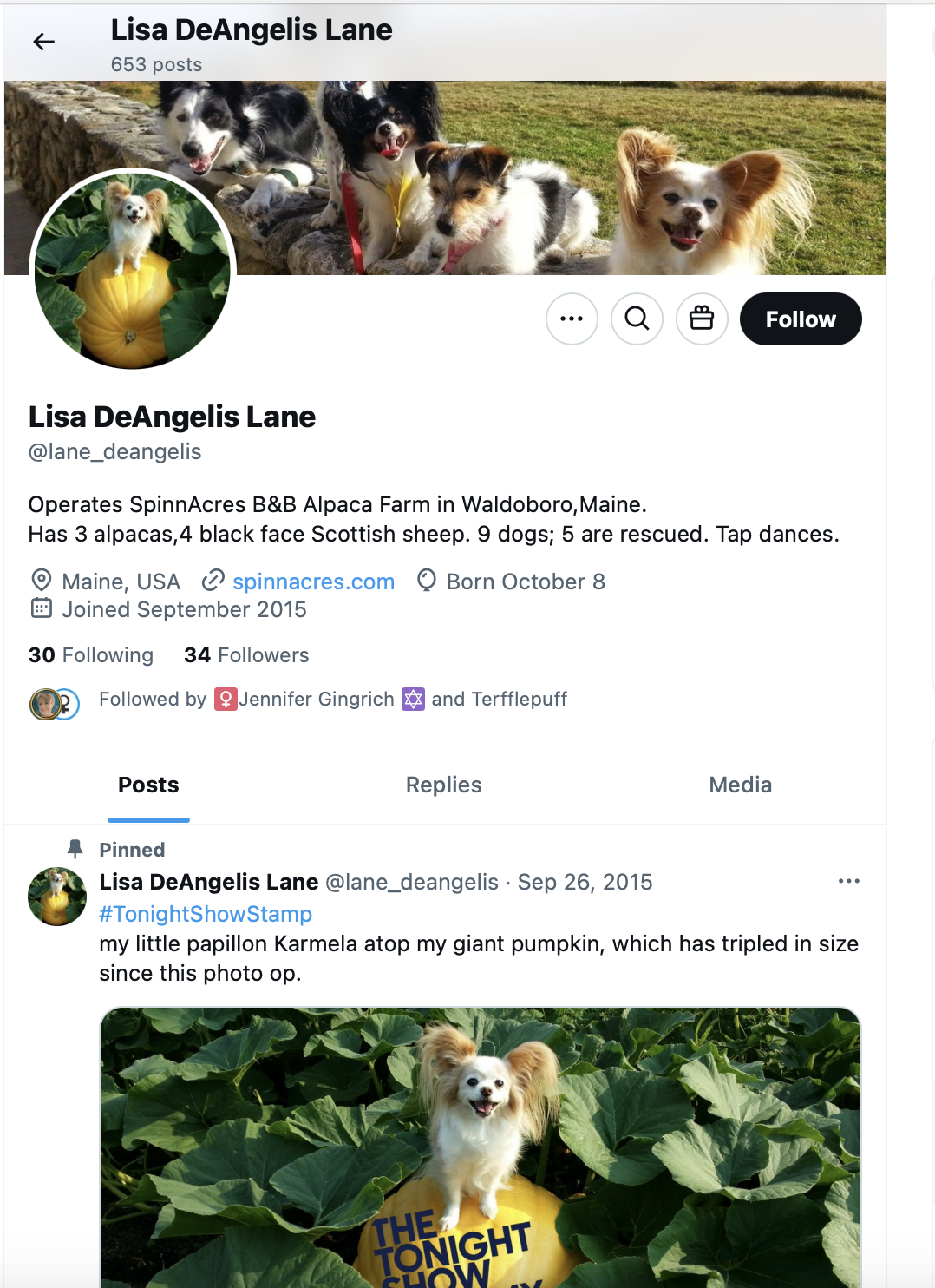 Paqui account