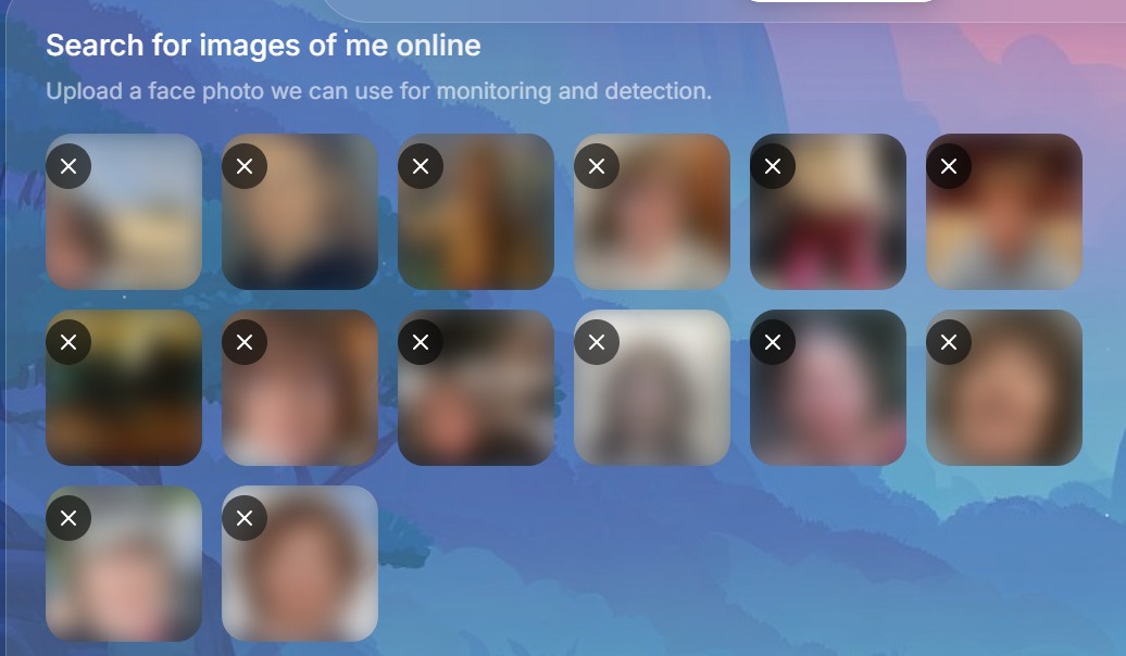 Online images