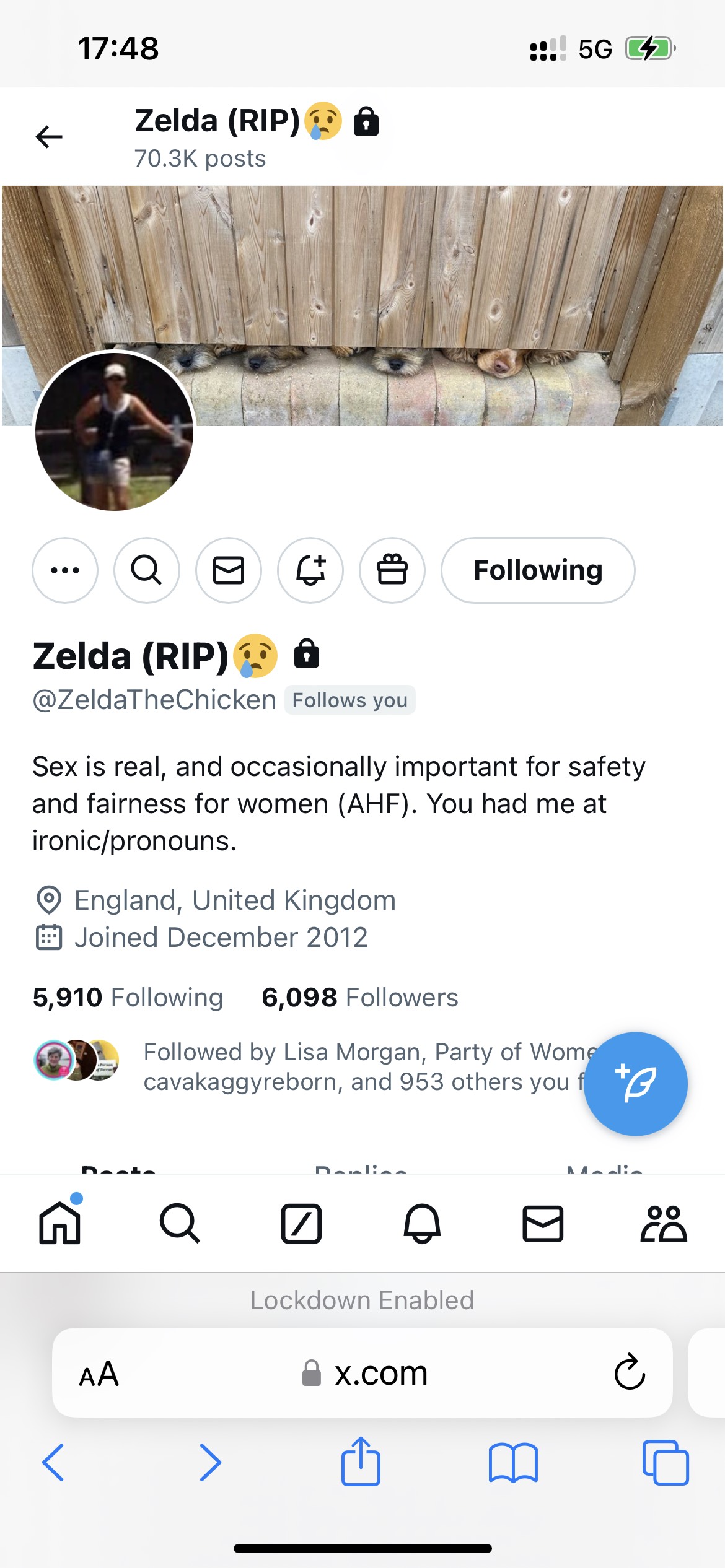 Account details have RIP and sniffing dogs