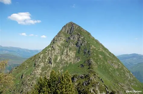 Viscos