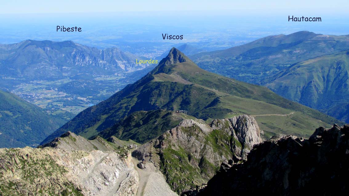 Viscos