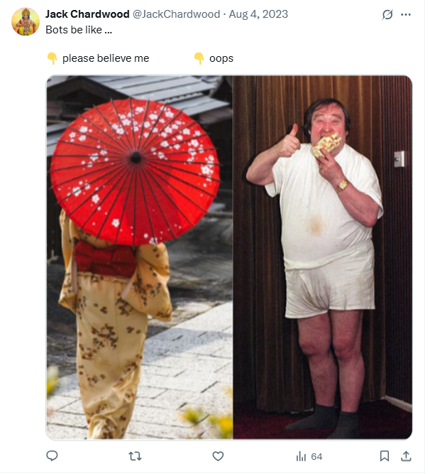 What bots are like