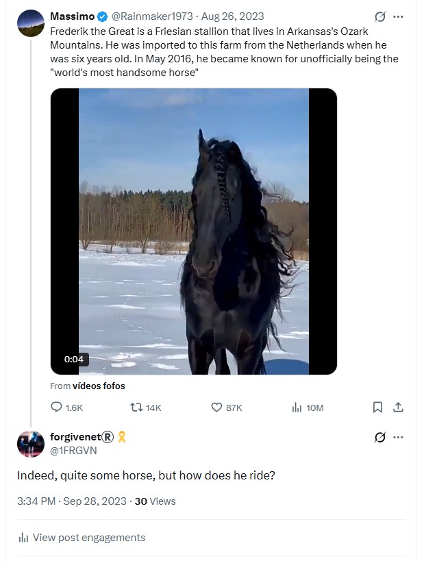Dark horse