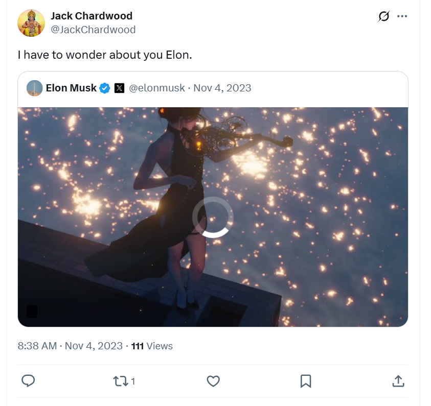 Elon's violinist